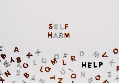 slef harm spelt out in fridge magnets